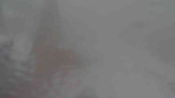 Parkoviště a hlavní vchod