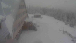 Parkoviště a hlavní vchod