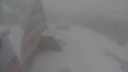 Parkoviště a hlavní vchod