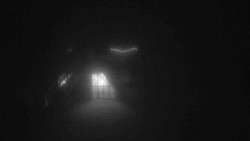 Parkoviště a hlavní vchod