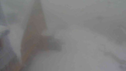 Parkoviště a hlavní vchod