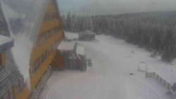 Parkoviště a hlavní vchod