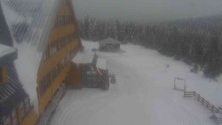 Parkoviště a hlavní vchod