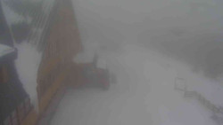 Parkoviště a hlavní vchod