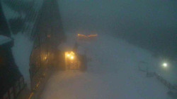 Parkoviště a hlavní vchod