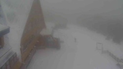 Parkoviště a hlavní vchod