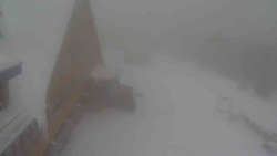 Parkoviště a hlavní vchod