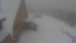 Parkoviště a hlavní vchod