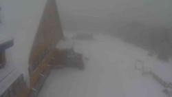 Parkoviště a hlavní vchod