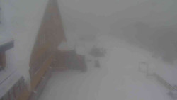 Parkoviště a hlavní vchod