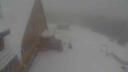 Parkoviště a hlavní vchod