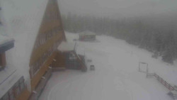 Parkoviště a hlavní vchod