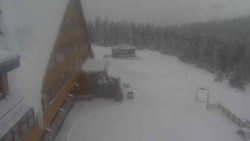 Parkoviště a hlavní vchod