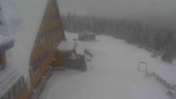 Parkoviště a hlavní vchod