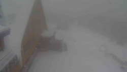 Parkoviště a hlavní vchod