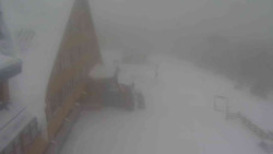 Parkoviště a hlavní vchod