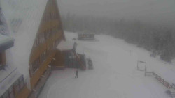 Parkoviště a hlavní vchod