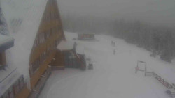 Parkoviště a hlavní vchod