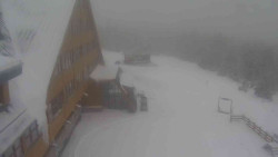 Parkoviště a hlavní vchod