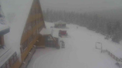 Parkoviště a hlavní vchod