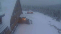 Parkoviště a hlavní vchod