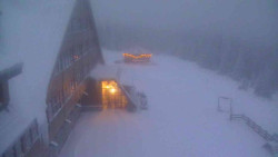 Parkoviště a hlavní vchod