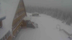 Parkoviště a hlavní vchod