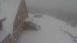 Parkoviště a hlavní vchod