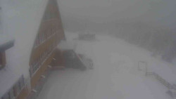 Parkoviště a hlavní vchod