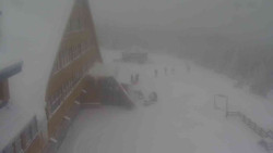 Parkoviště a hlavní vchod