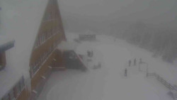 Parkoviště a hlavní vchod