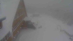 Parkoviště a hlavní vchod