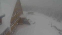 Parkoviště a hlavní vchod