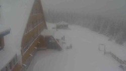 Parkoviště a hlavní vchod