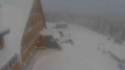 Parkoviště a hlavní vchod