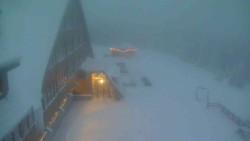 Parkoviště a hlavní vchod