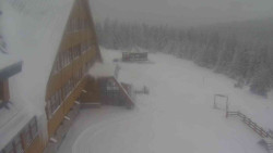 Parkoviště a hlavní vchod