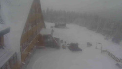 Parkoviště a hlavní vchod