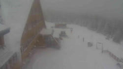 Parkoviště a hlavní vchod