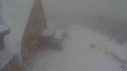 Parkoviště a hlavní vchod