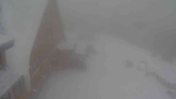 Parkoviště a hlavní vchod