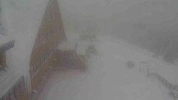 Parkoviště a hlavní vchod