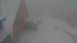 Parkoviště a hlavní vchod