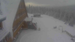 Parkoviště a hlavní vchod