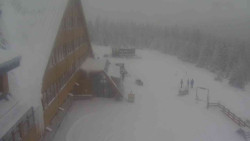 Parkoviště a hlavní vchod