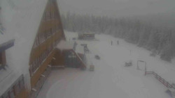 Parkoviště a hlavní vchod