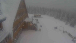 Parkoviště a hlavní vchod