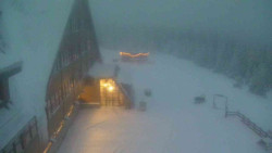 Parkoviště a hlavní vchod