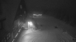 Parkoviště a hlavní vchod