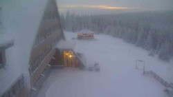 Parkoviště a hlavní vchod